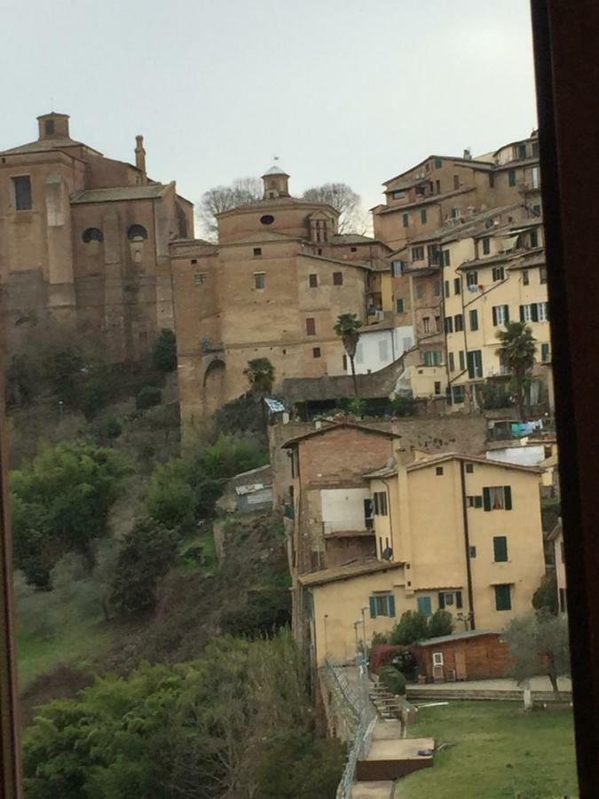 Salicotto 56 Hotel Siena Bagian luar foto